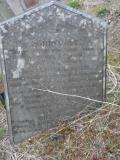 image of grave number 295344